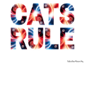 Kids "CATS RULE" ~ Special Fireworks Design ~ Youth Cotton Cat Lover Shirt