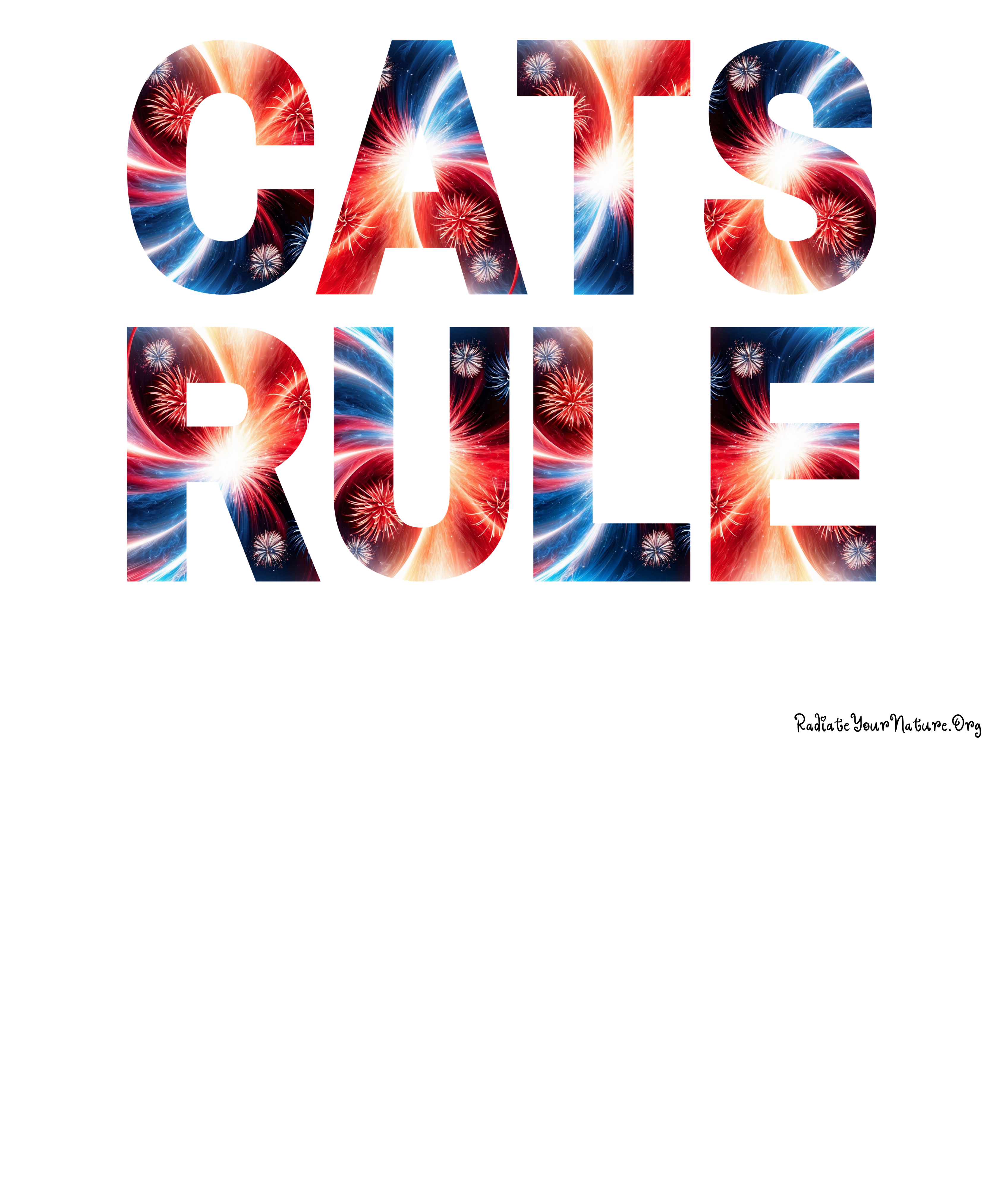 Kids "CATS RULE" ~ Special Fireworks Design ~ Youth Cotton Cat Lover Shirt