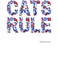 Kids "CATS RULE" ~ Special Red, White, and Blue Star Design ~ Youth Cotton Cat Lover Shirt