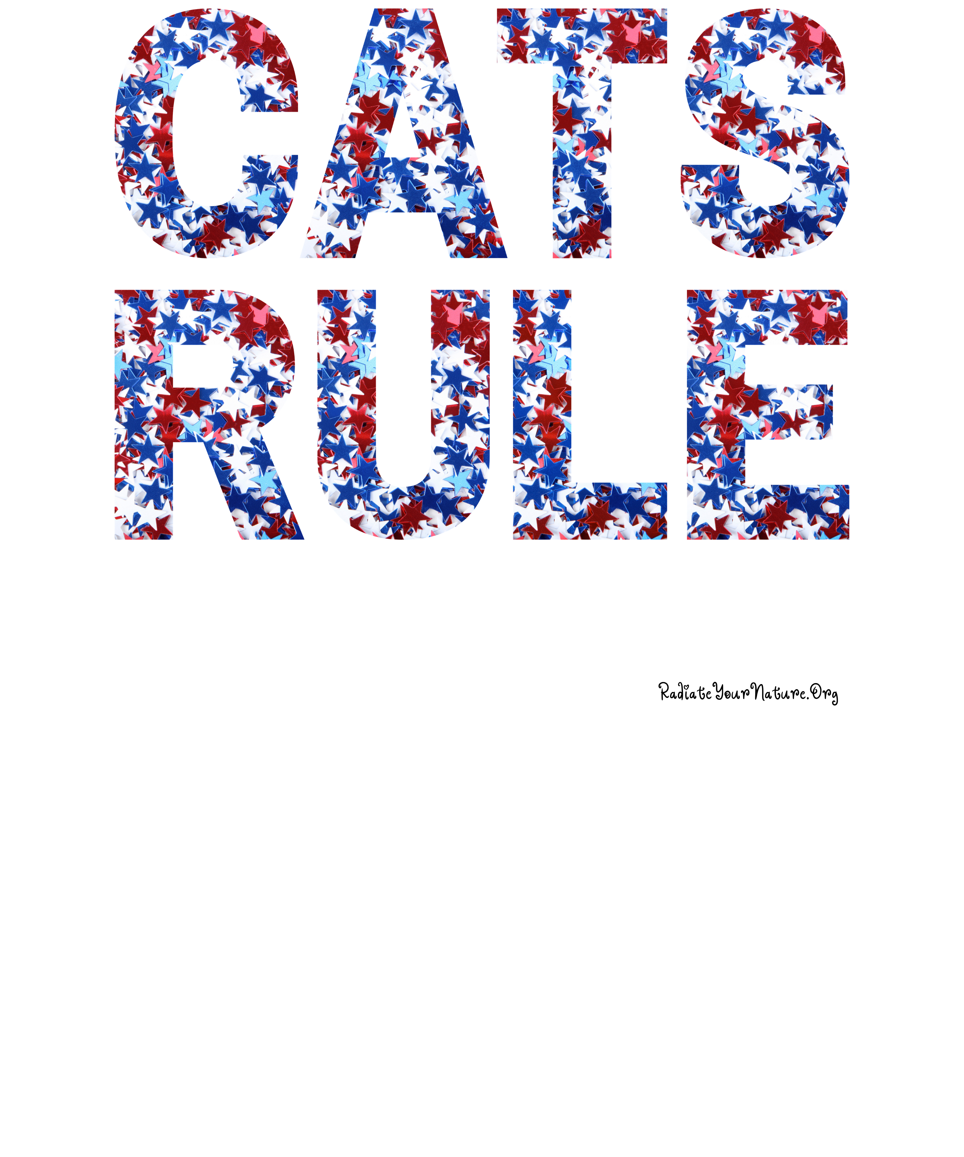 Kids "CATS RULE" ~ Special Red, White, and Blue Star Design ~ Youth Cotton Cat Lover Shirt